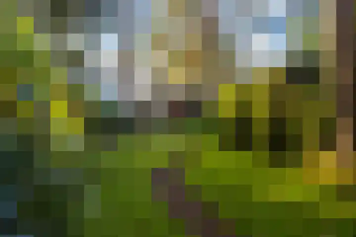 Bosuillaan 303 Bilthoven thumbnail 26