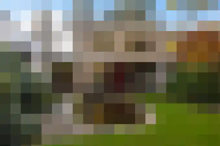 Bosuillaan 303 Bilthoven thumbnail 27