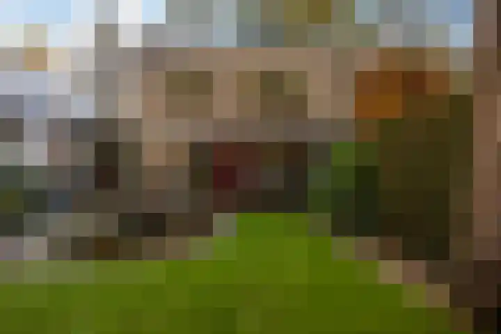 Bosuillaan 303 Bilthoven thumbnail 28