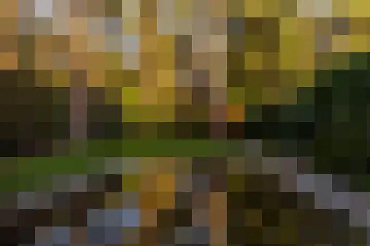 Bosuillaan 303 Bilthoven thumbnail 30