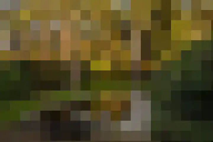 Bosuillaan 303 Bilthoven thumbnail 31