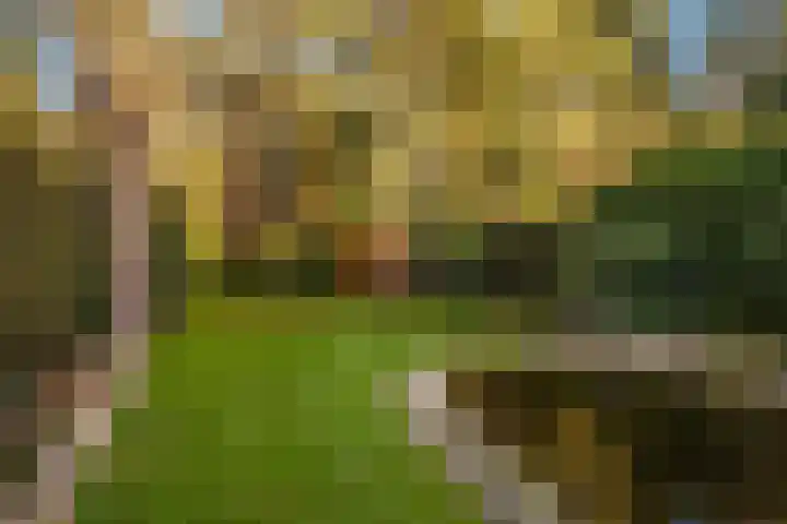 Bosuillaan 303 Bilthoven thumbnail 32