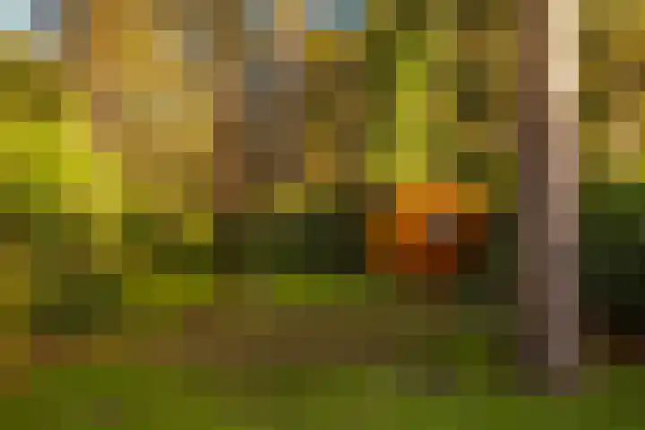 Bosuillaan 303 Bilthoven thumbnail 33