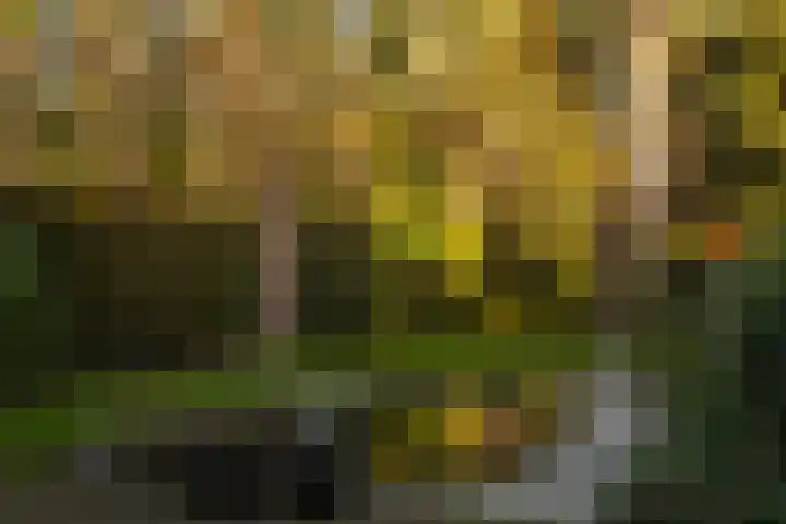 Bosuillaan 303 Bilthoven thumbnail 34
