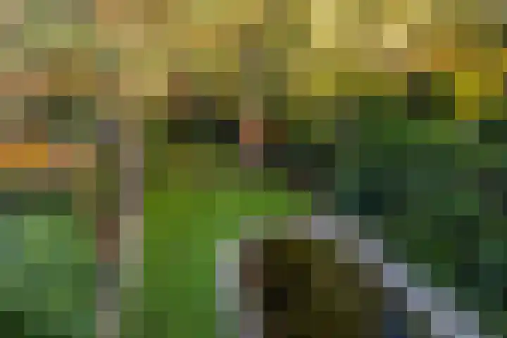 Bosuillaan 303 Bilthoven thumbnail 35
