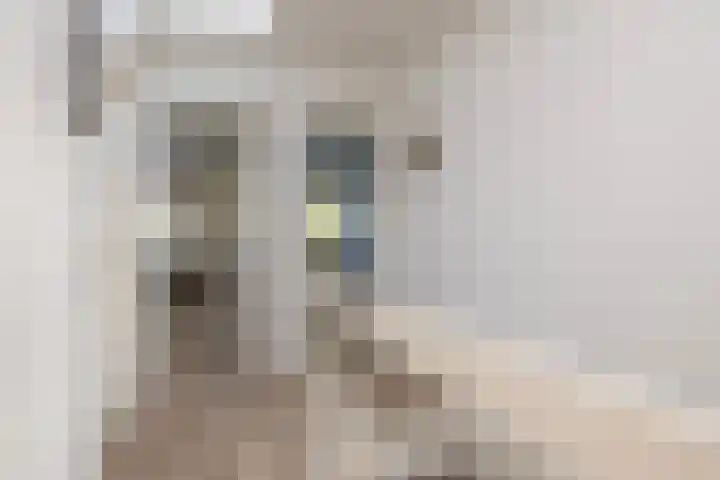 Bosuillaan 303 Bilthoven thumbnail 37