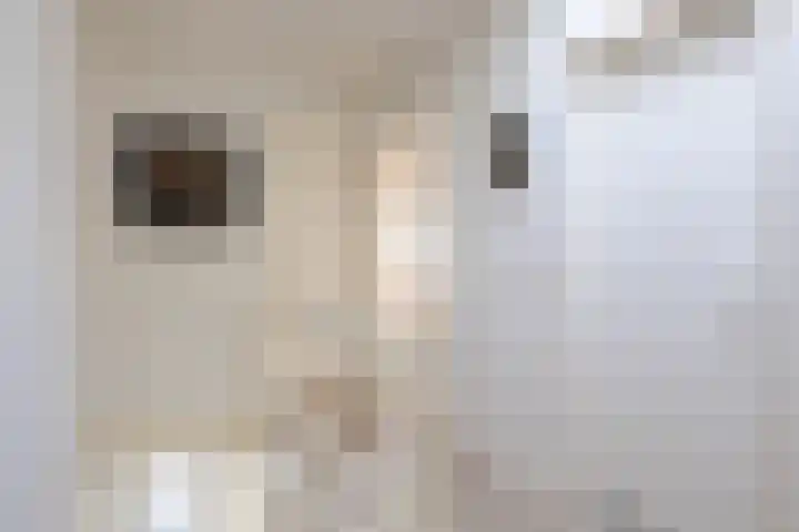 Bosuillaan 303 Bilthoven thumbnail 38