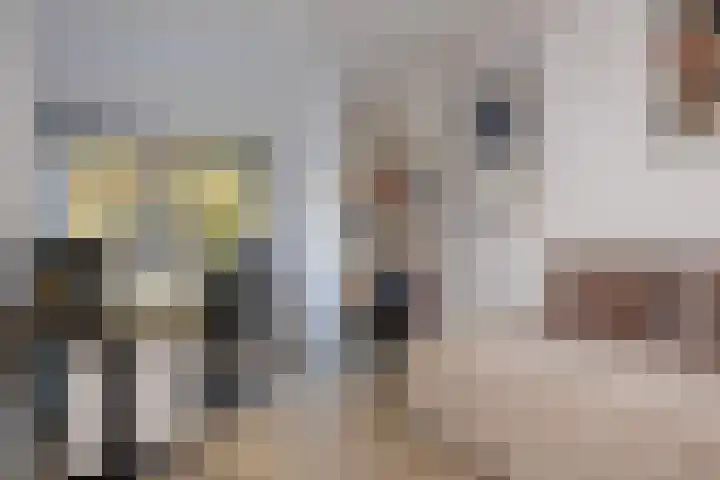 Bosuillaan 303 Bilthoven thumbnail 39