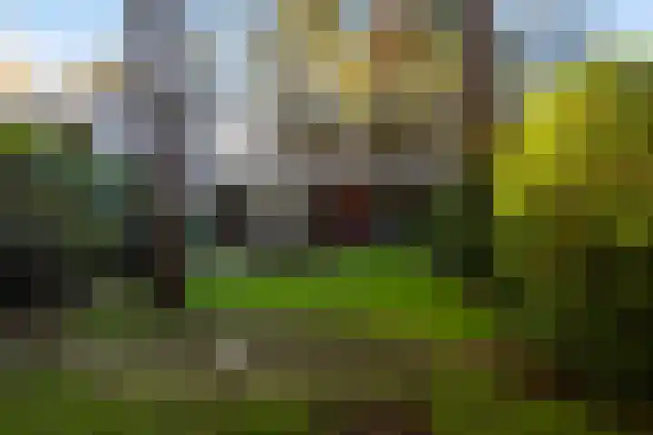Bosuillaan 303 Bilthoven thumbnail 4