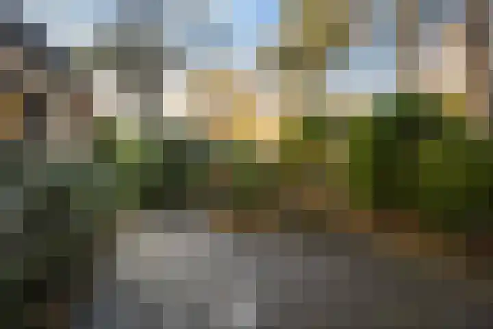 Bosuillaan 303 Bilthoven thumbnail 49