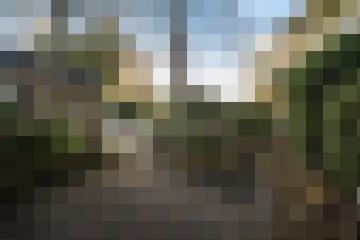 Bosuillaan 303 Bilthoven thumbnail 50