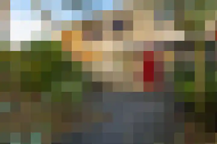 Bosuillaan 303 Bilthoven thumbnail 51