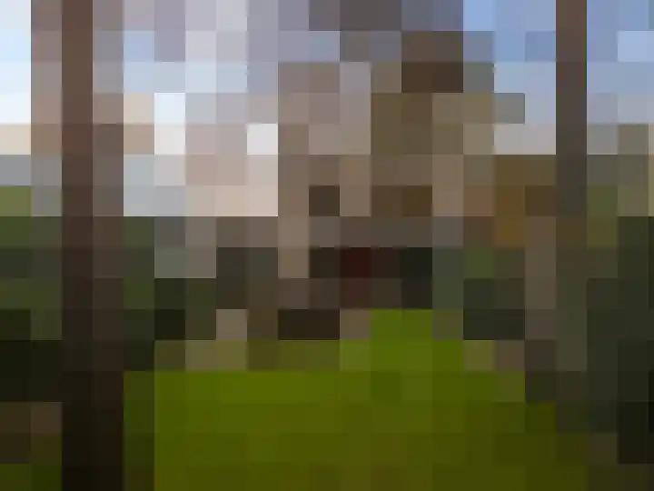 Bosuillaan 303 Bilthoven thumbnail 52