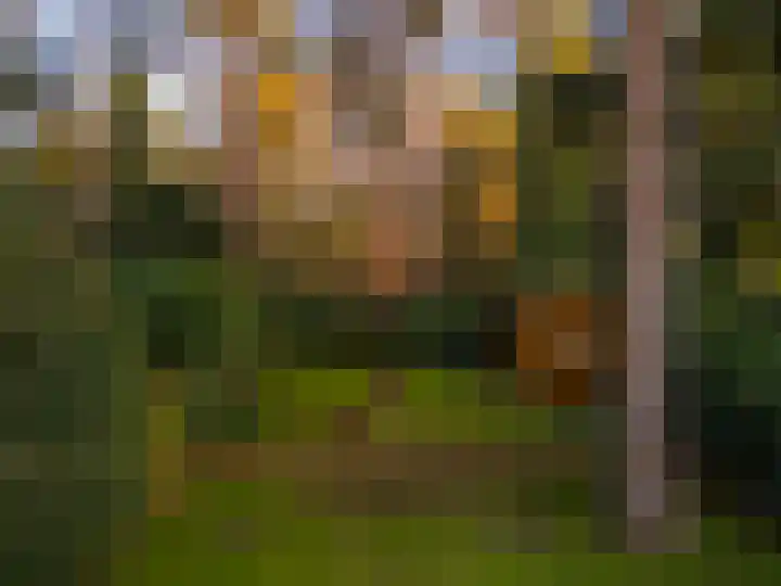 Bosuillaan 303 Bilthoven thumbnail 53
