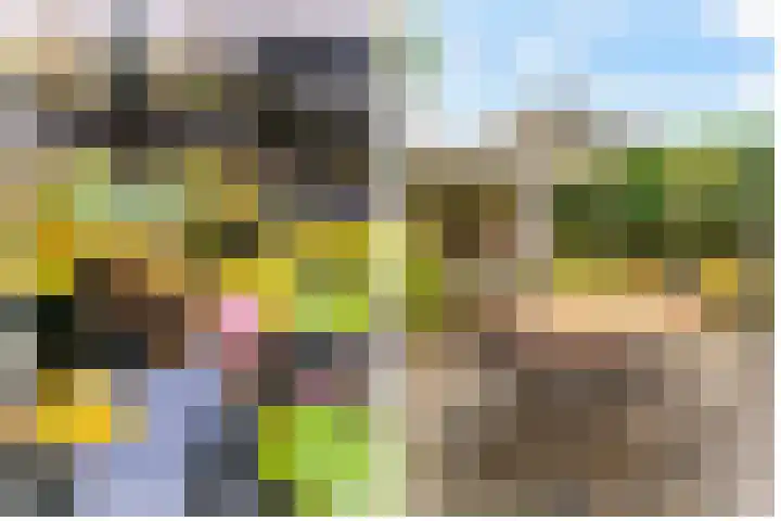 Bosuillaan 50 Bilthoven thumbnail 38