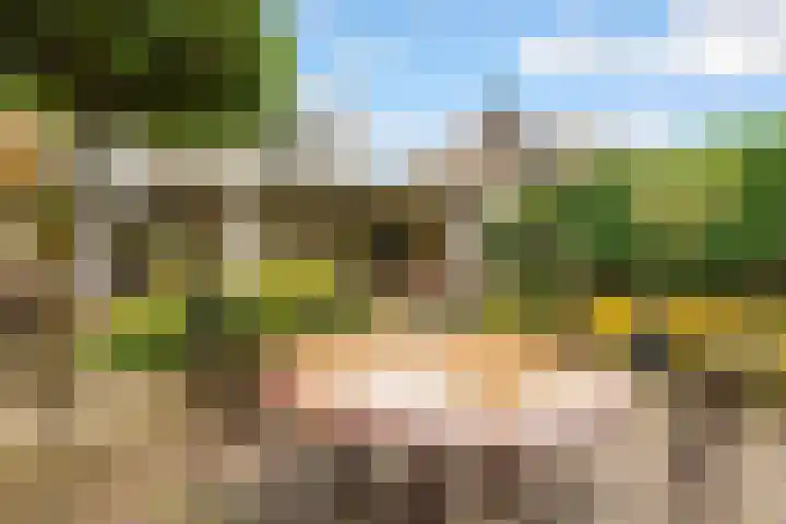 Bosuillaan 50 Bilthoven thumbnail 39
