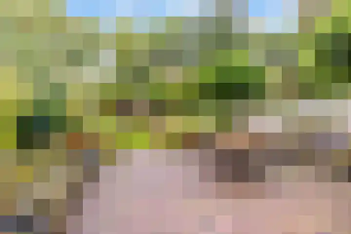 Bosuillaan 50 Bilthoven thumbnail 40