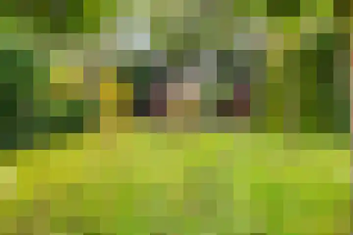 Bosuillaan 50 Bilthoven thumbnail 41