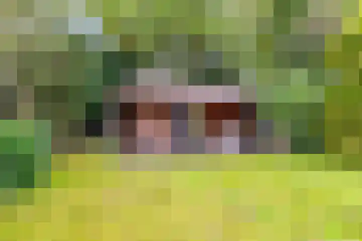 Bosuillaan 50 Bilthoven thumbnail 43