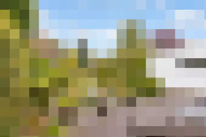 Bosuillaan 50 Bilthoven thumbnail 50