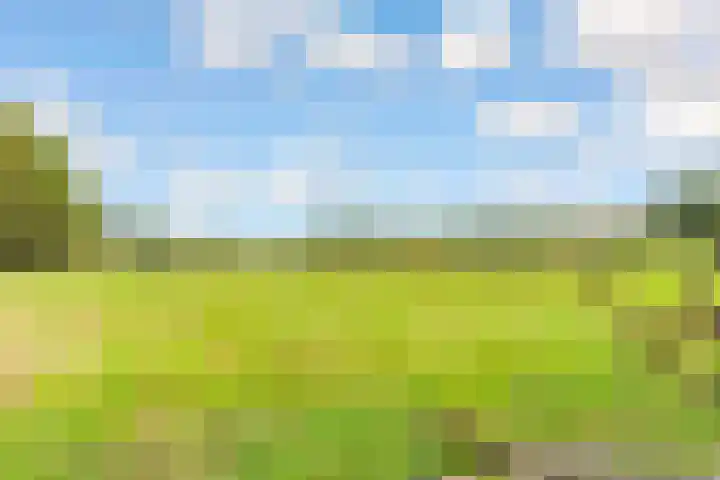 Bosuillaan 50 Bilthoven thumbnail 59
