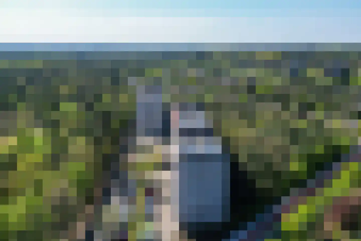 Bosuillaan 69 Bilthoven thumbnail 41