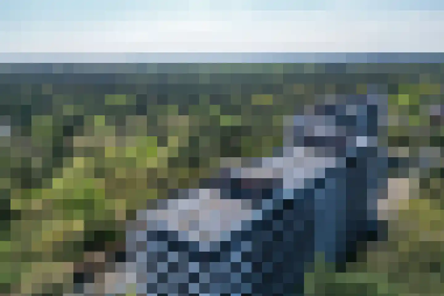 Bosuillaan 69 Bilthoven thumbnail 43