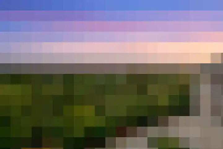 Bosuillaan 73 Bilthoven thumbnail 24