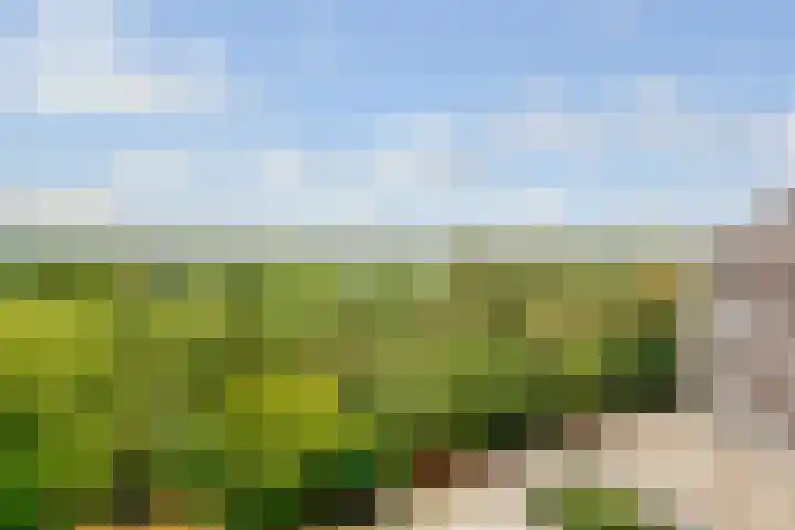 Bosuillaan 73 Bilthoven thumbnail 28