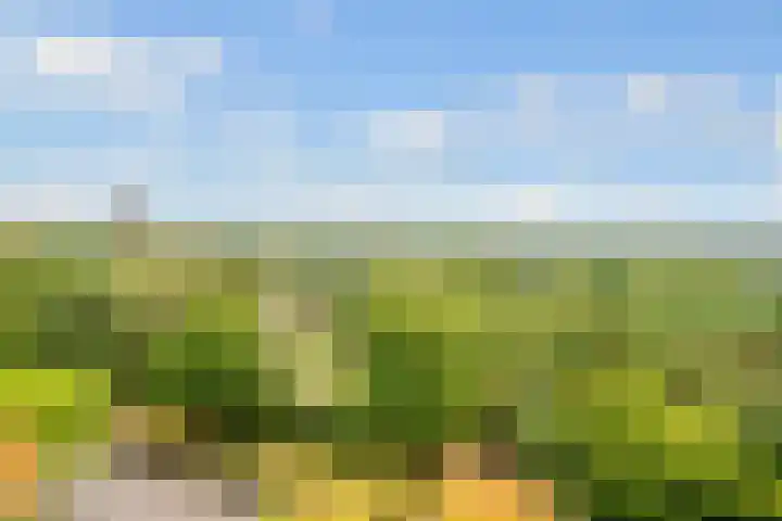 Bosuillaan 73 Bilthoven thumbnail 29