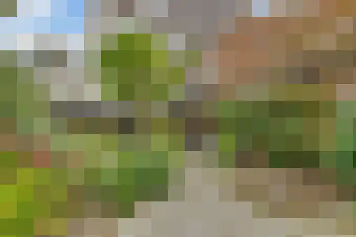 Bosuillaan 73 Bilthoven thumbnail 35