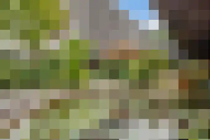 Bosuillaan 73 Bilthoven thumbnail 37