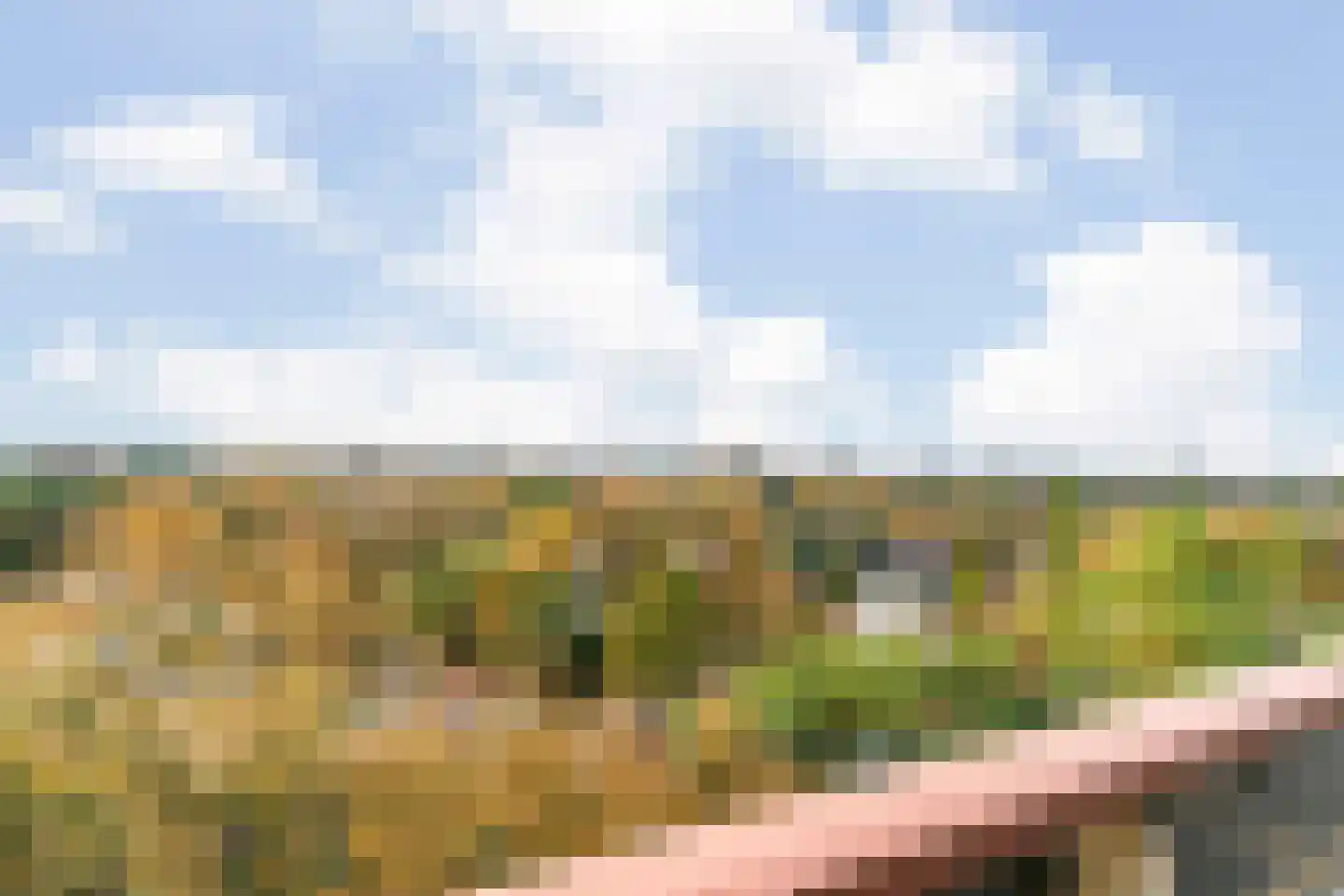 Bosuillaan 75 Bilthoven thumbnail 33