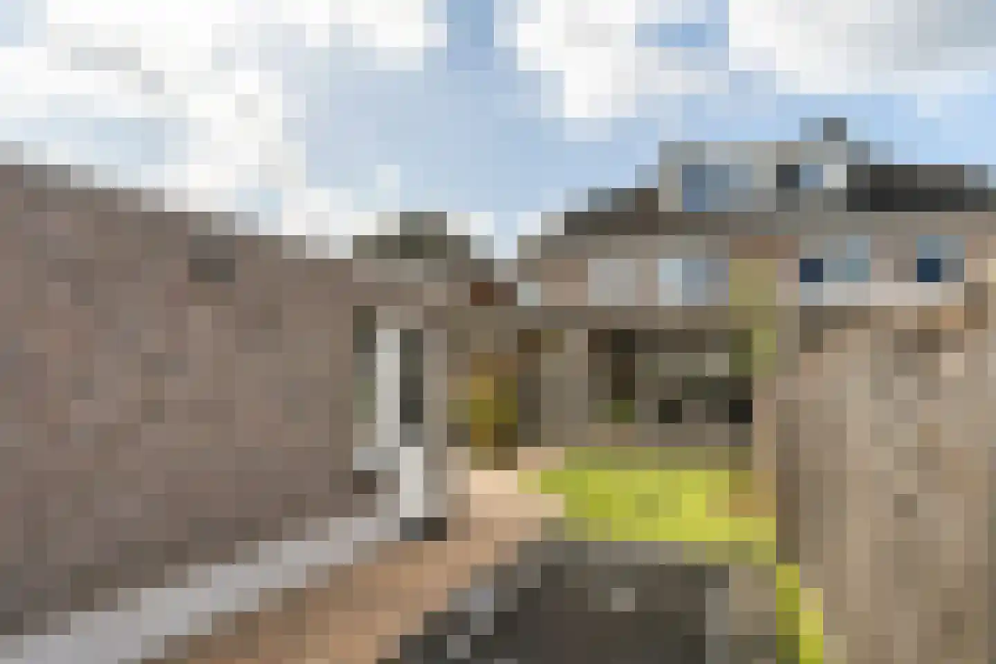 Bosuilstraat 47 Enschede thumbnail 36