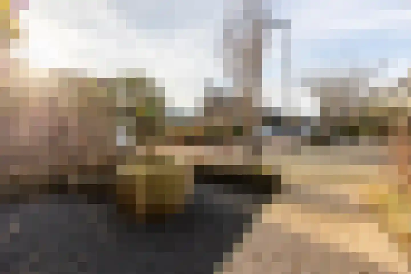 Bosuilstraat 56 Maassluis thumbnail 6