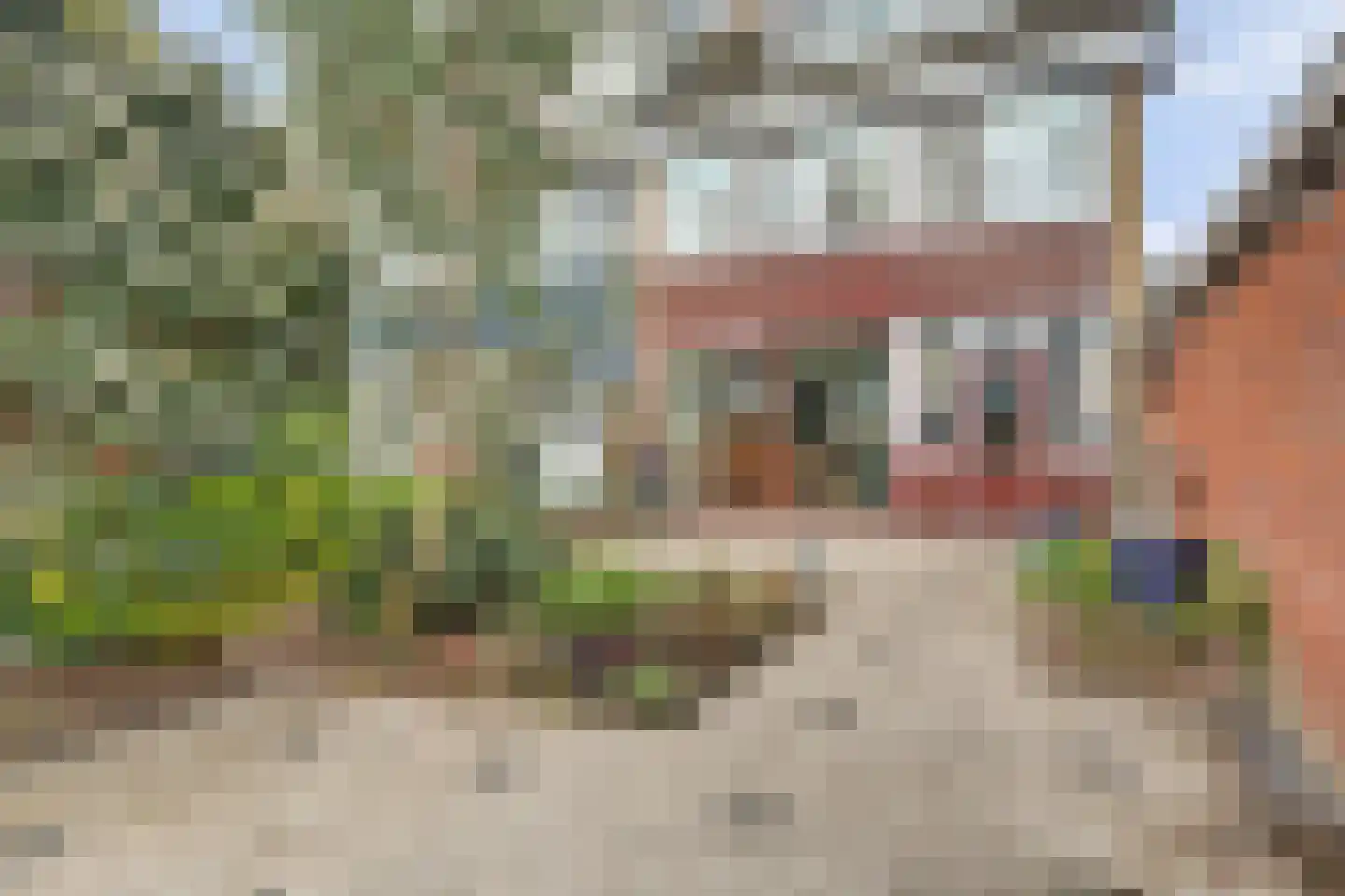 Bosuilstraat 60 Maassluis thumbnail 25