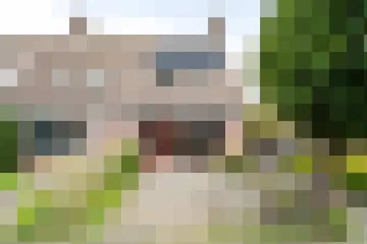 Bosvaren 1 Heiloo
