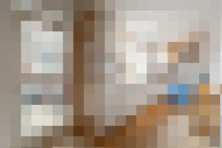 Bosvaren 1 Heiloo thumbnail 12