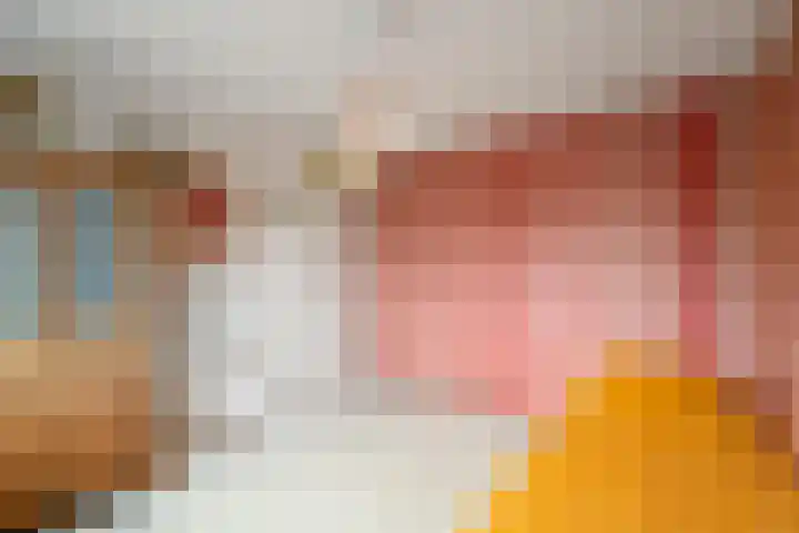 Bosvaren 1 Heiloo thumbnail 21