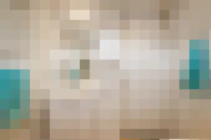 Bosvaren 1 Heiloo thumbnail 23