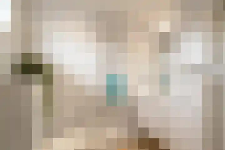 Bosvaren 1 Heiloo thumbnail 24