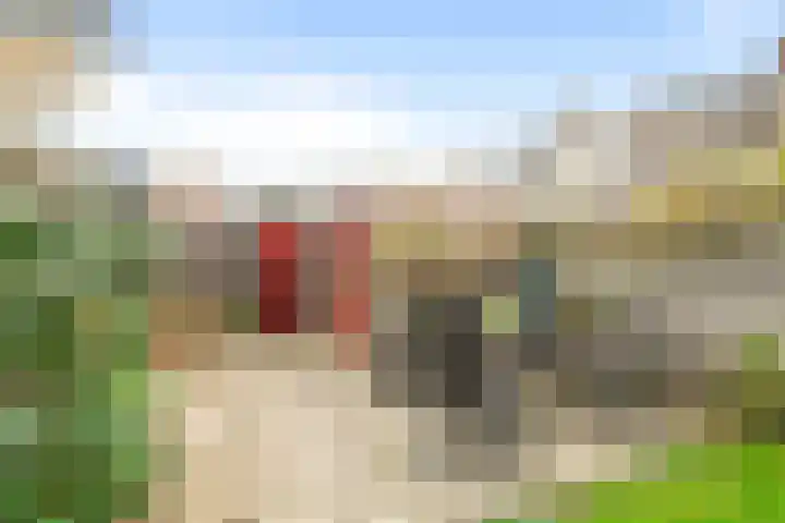 Bosvaren 1 Heiloo thumbnail 28