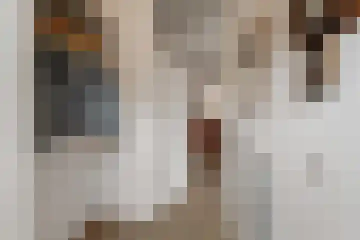 Bosvaren 1 Heiloo thumbnail 6