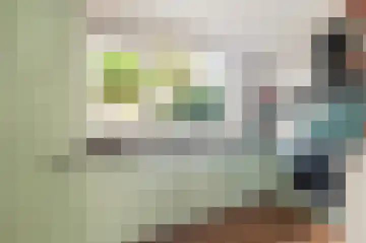 Bosvaren 12 Heiloo thumbnail 12