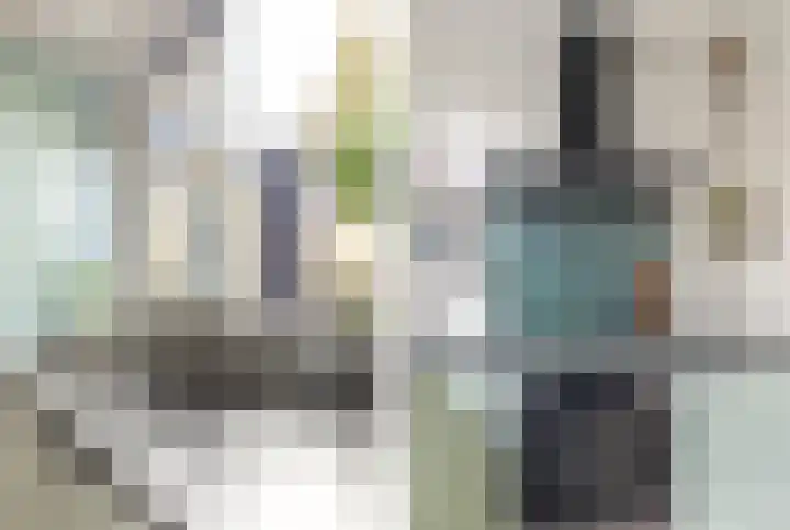 Bosvaren 12 Heiloo thumbnail 15