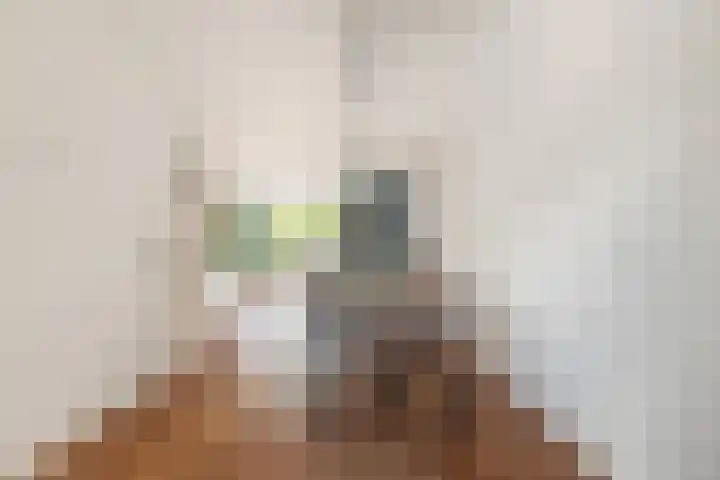Bosvaren 12 Heiloo thumbnail 17