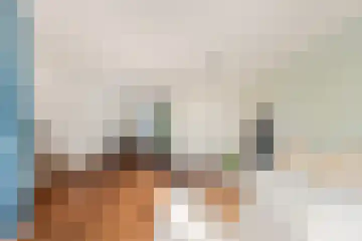 Bosvaren 12 Heiloo thumbnail 18