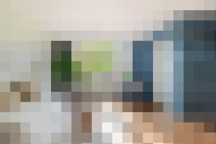 Bosvaren 12 Heiloo thumbnail 21