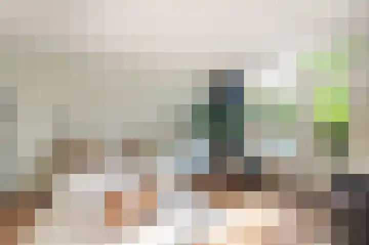 Bosvaren 12 Heiloo thumbnail 22
