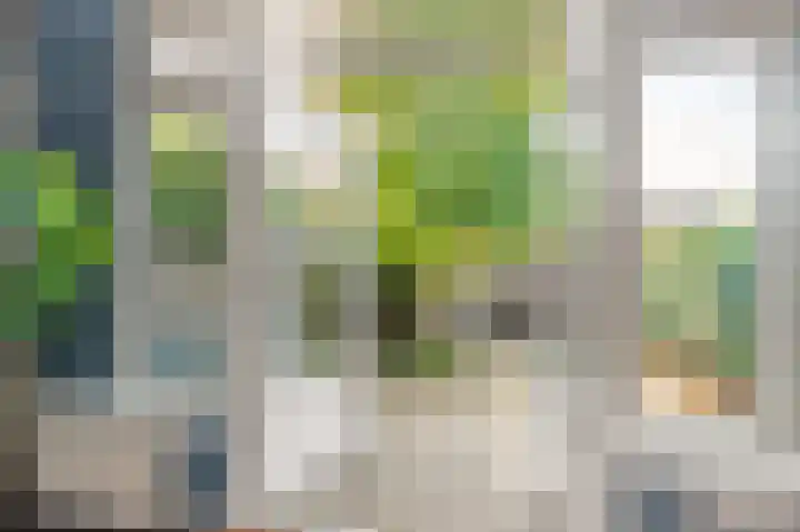 Bosvaren 12 Heiloo thumbnail 23